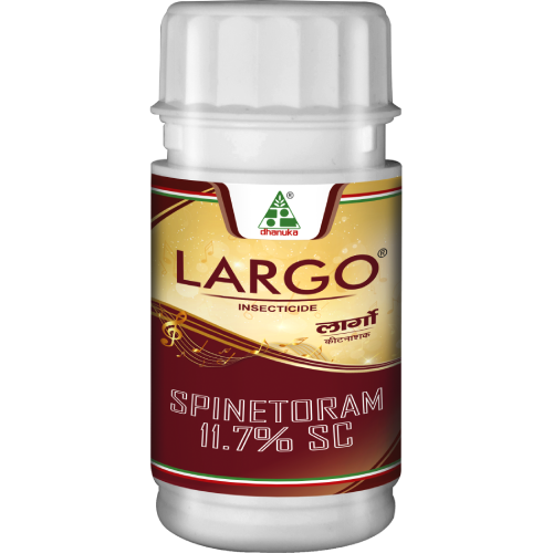 Largo