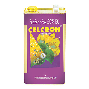 Celcron