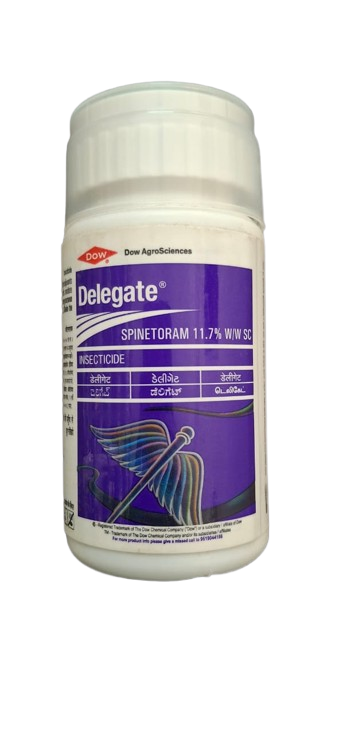 Delegate