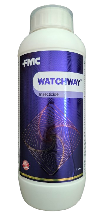 Watch way