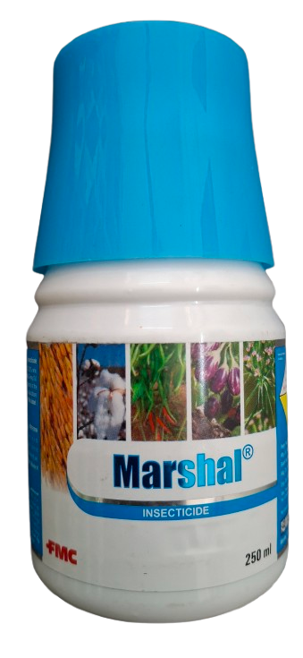 Marshal